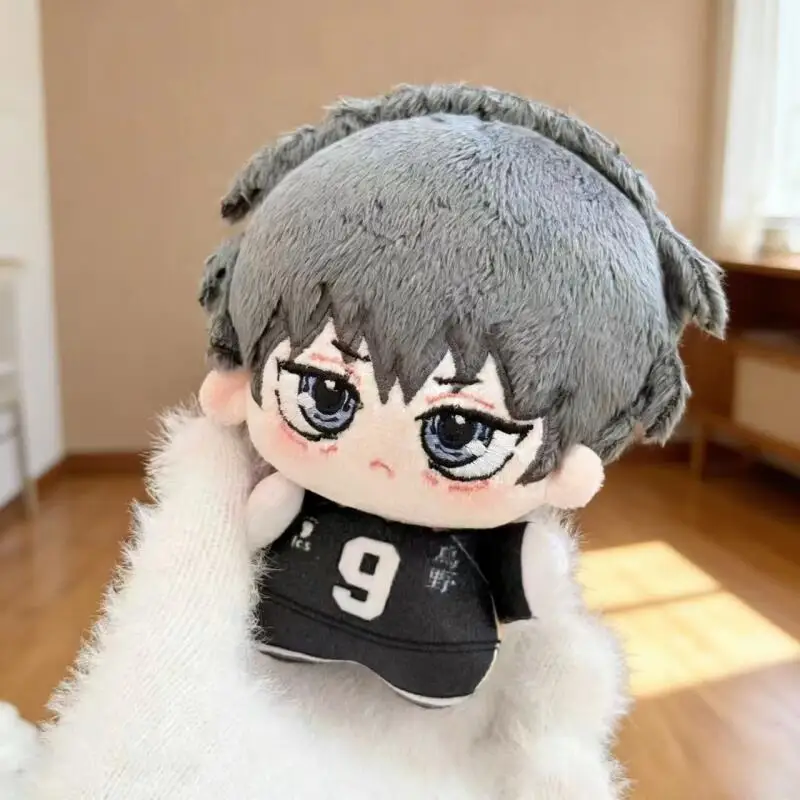 Cartoon Anime Haikyuu Shoyo Hi – Event Supplies Bewertung und Preis